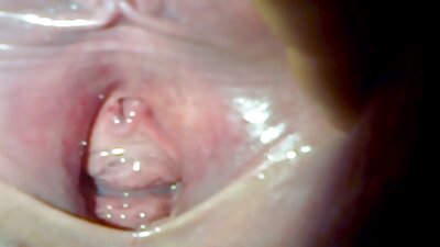 બબલ એસ સ્લટ બેકયાર્ડમાં ડોગસ્ટાઇલને ફક કરે છે